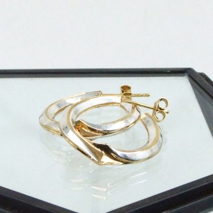 Silver and gilt hook earrings