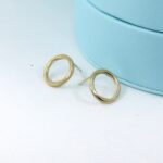 Twist Continuum Silver Circle Earrings Medium - colour options available