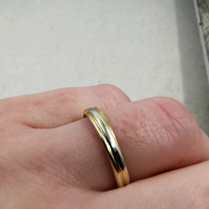 Silver and gilt twist ring